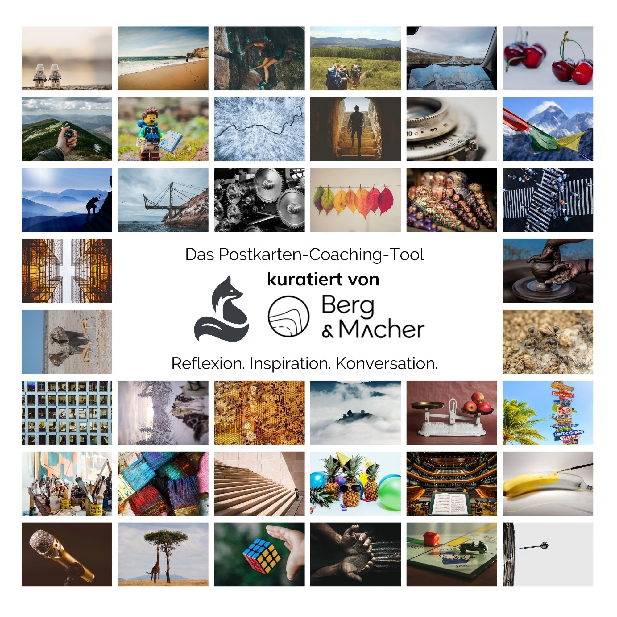 metaFox deep pictures ''Effective Organizational Development'' - Interactive Card Set for Transformation in Organisations, Agile Coaching Developed with Berg & Macher (dp-BUM)