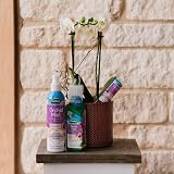 Westland Orchid Potting Mix with Seramis 8 L view 3