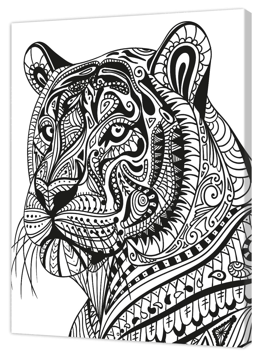 Pintcolor 9109 Frame with Printed Canvas for Colouring, Wood, White/Black, 40 x 50 x 3.5 cm