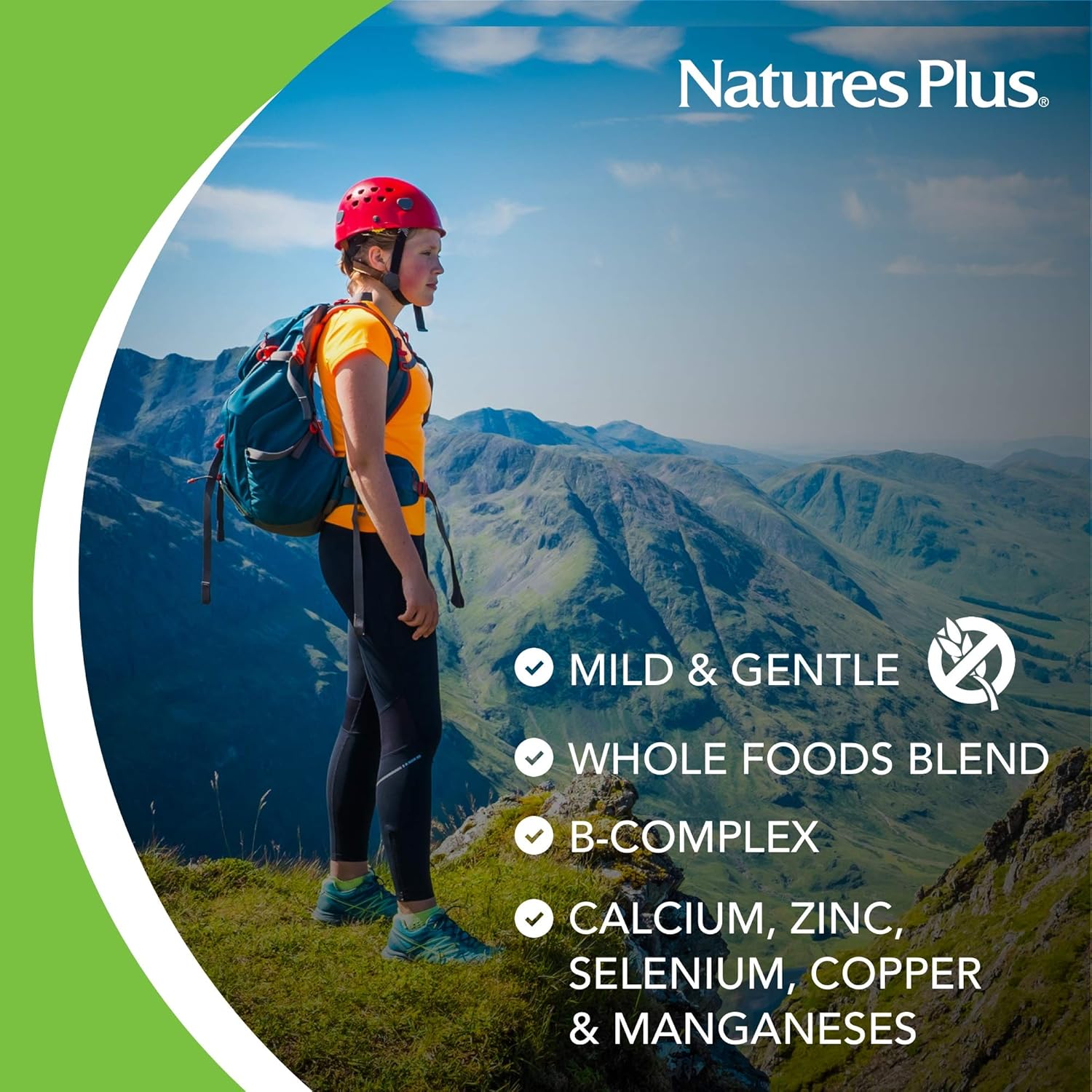 NaturesPlus Hema-Plex Softgels - 85 mg Elemental Iron,60 Count (Pack of 1) Softgels - Fast Acting Supplement For Total Blood Health - Gentle Formula - Gluten-Free - 20 Total Servings: Health & Personal Care