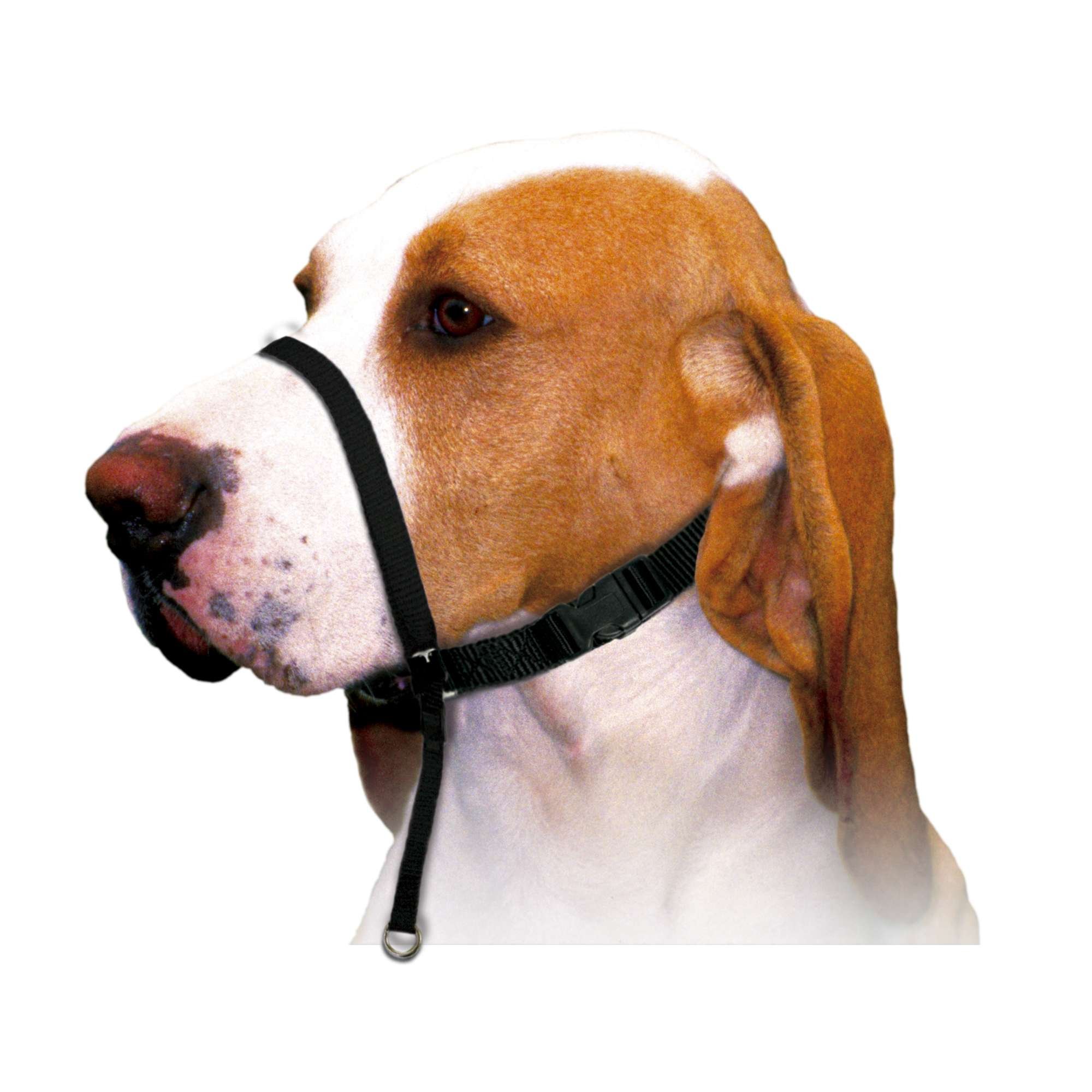 XT-DOG DB922 Training Nylon Muzzle