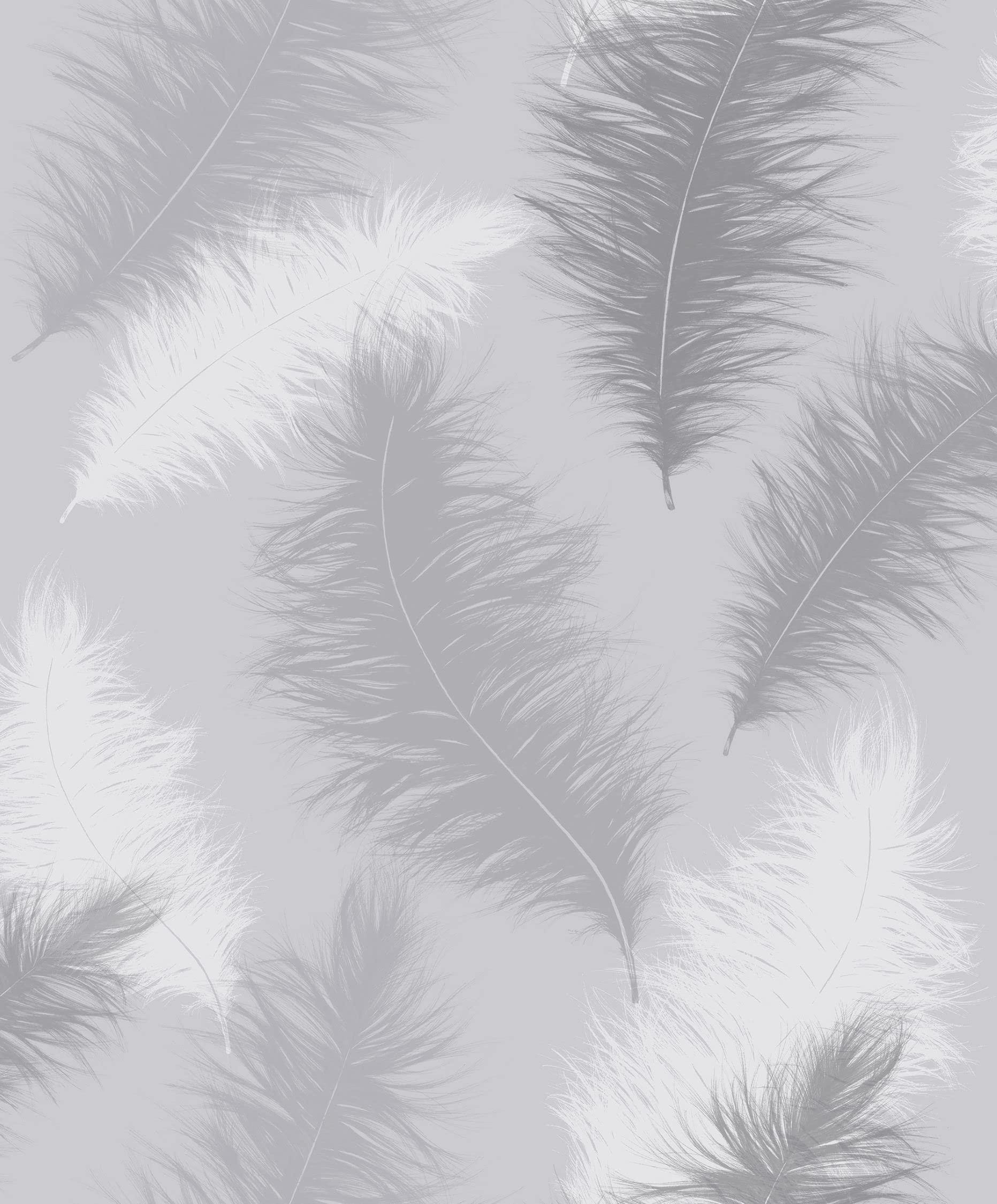 Arthouse | Sussurro Grey Wallpaper | Luxury Gel Effect Feather Design | Matt Grey Background with Sparkling Feathers | Paste The Paper | 1005 x 53cm