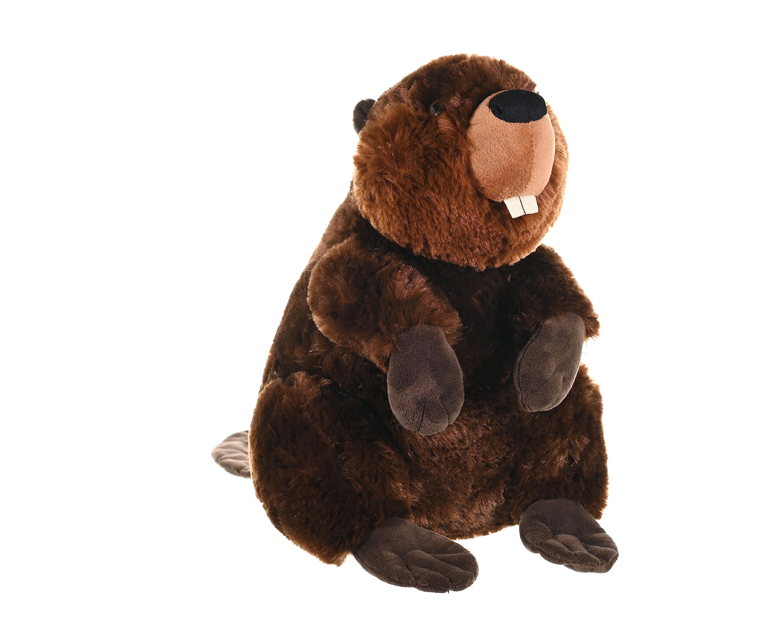 Photo 1 of Wild Republic Beaver Plush, Stuffed Animal, Plush Toy, Kids Gifts, Cuddlekins, 12"