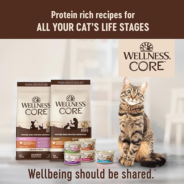 WELLNESS CORE PATE ADULT WET CAT FOOD, NATURAL, PROTEIN-RICH, GRAIN FREE, 3 OUNCE, 12 PACK (CHICKEN, TURKEY & CHICKEN LIVER)