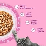 Whiskas Junior Wet Cat Food in Jelly Fish Favourites 12x85g Kitten Pack of 4 view 7