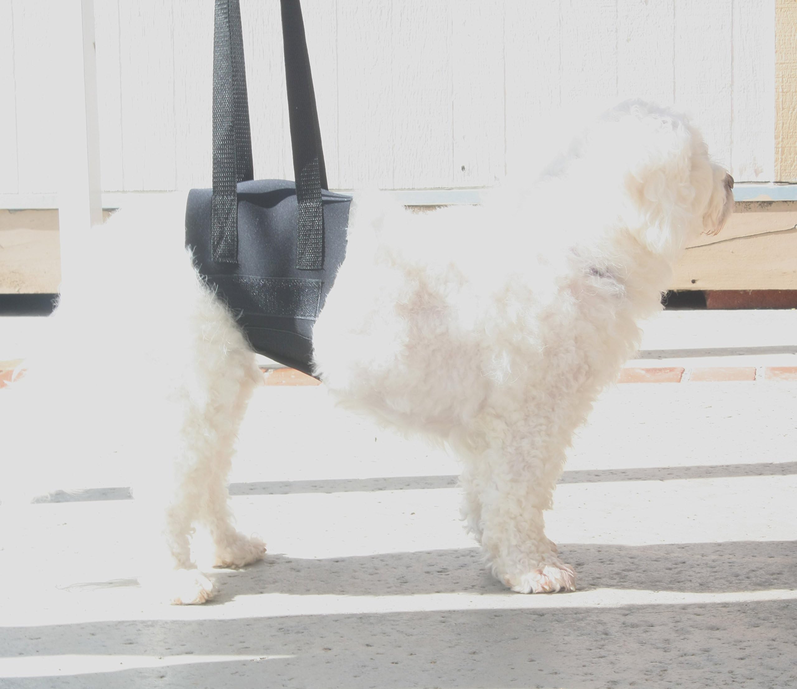 Huggiecart Dog Rear Support, Rear Harness, Rear Lift Sling, Brand. 3 Sizes to Choose from.