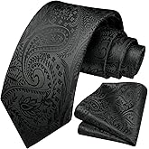 HISDERN Ties for Men Paisley Tie and Pocket Square Woven Classic Floral Mens Ties Handkerchief Set Wedding Party Necktie