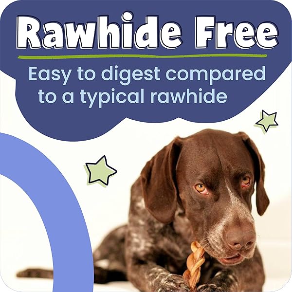 PAWSTRUCK NATURAL 8–12″ BULLY STICKS FOR DOGS – LONG-LASTING, RAWHIDE-FREE, LOW-ODOR, GRAIN-FREE DENTAL CHEW TREAT – SINGLE INGREDIENT, 100% REAL BEEF – 1 LB BAG – PACKAGING MAY VARY