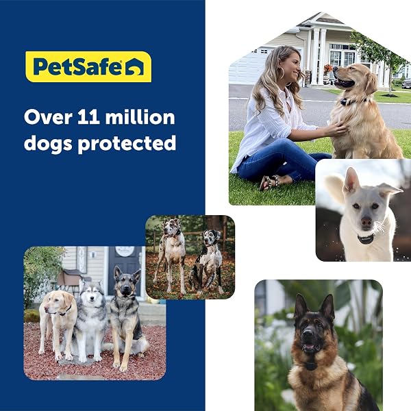 PETSAFE GUARDIAN GPS + TRACKING DOG FENCE COLLAR WIRELESS DOG FENCE WITH REAL-TIME TRACKING MOST RELIABLE GPS FOR YARDS OVER 3/4 ACRES SUBSCRIPTION REQUIRED – FOR MEDIUM AND LARGE DOGS