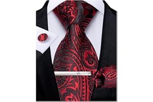 DiBanGu Paisley Ties for Men Silk Necktie Woven Pocket Square Cufflinks Tie Clip Set Gift Box Wedding Party