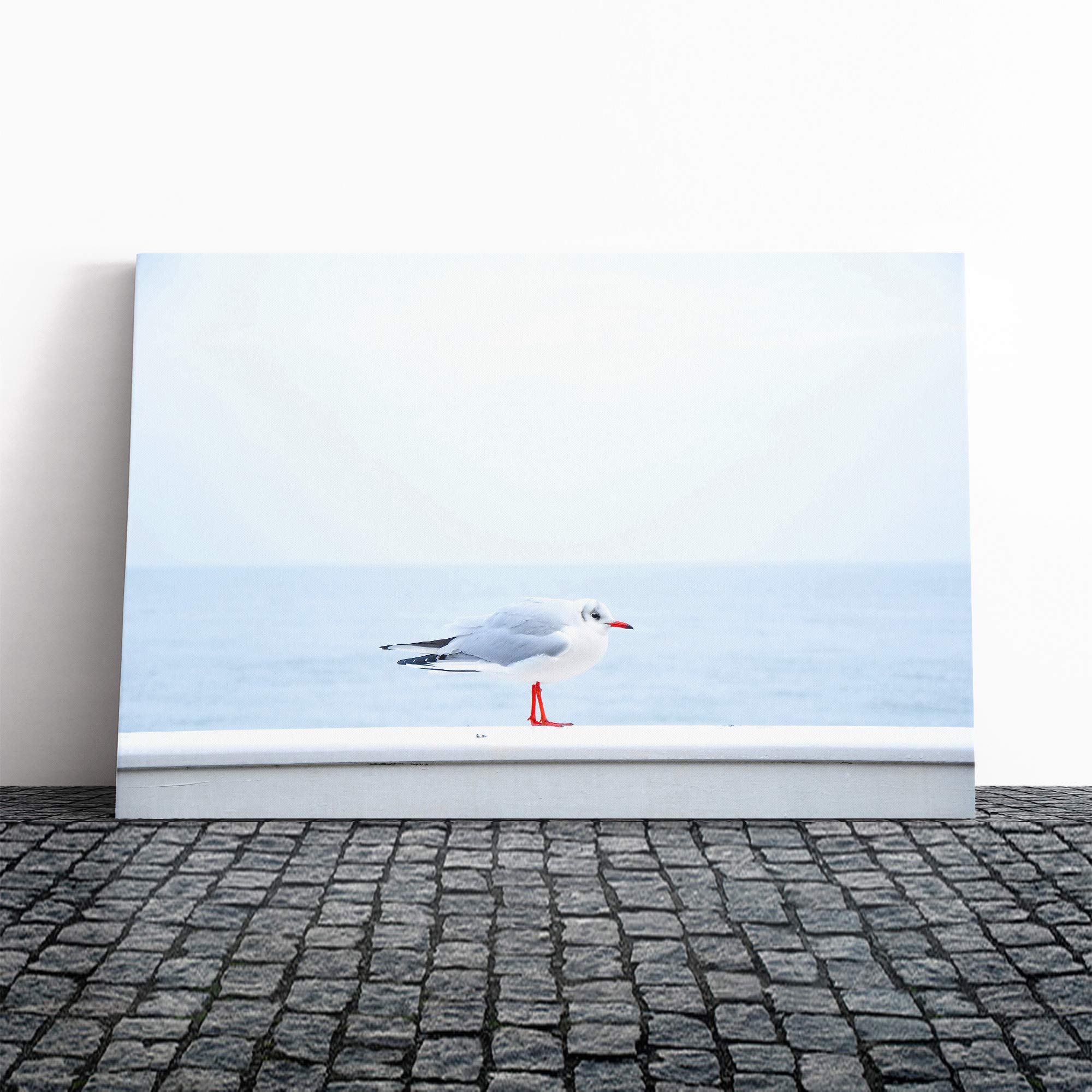 Resting Seagull Bird Seascape Canvas Print | Gallery Wrapped 30mm Frame Wall Art | 20x14 inches | Ready to Hang | Modern Animals Picture | Living Room Bedroom Lounge Office