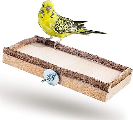 Super Siege Planche 20x10cm Avec Bois Naturel Pour Perruche Calopsitte Platforme Pour Cage A Oiseaux Perroquet Plateau Accessoires D Oiseaux Allonger Asseoir Dormir Amazon Fr Animalerie