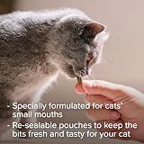 Beaphar Dental Easy Treats for Cats 35g - Crunchy Chlorophyll Filled Delicacy view 5
