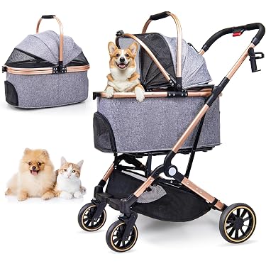 double stroller with sit and stand Sit and Stand Stroller | Foldable Double Stroller