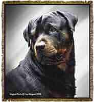 rottweiler throw blanket