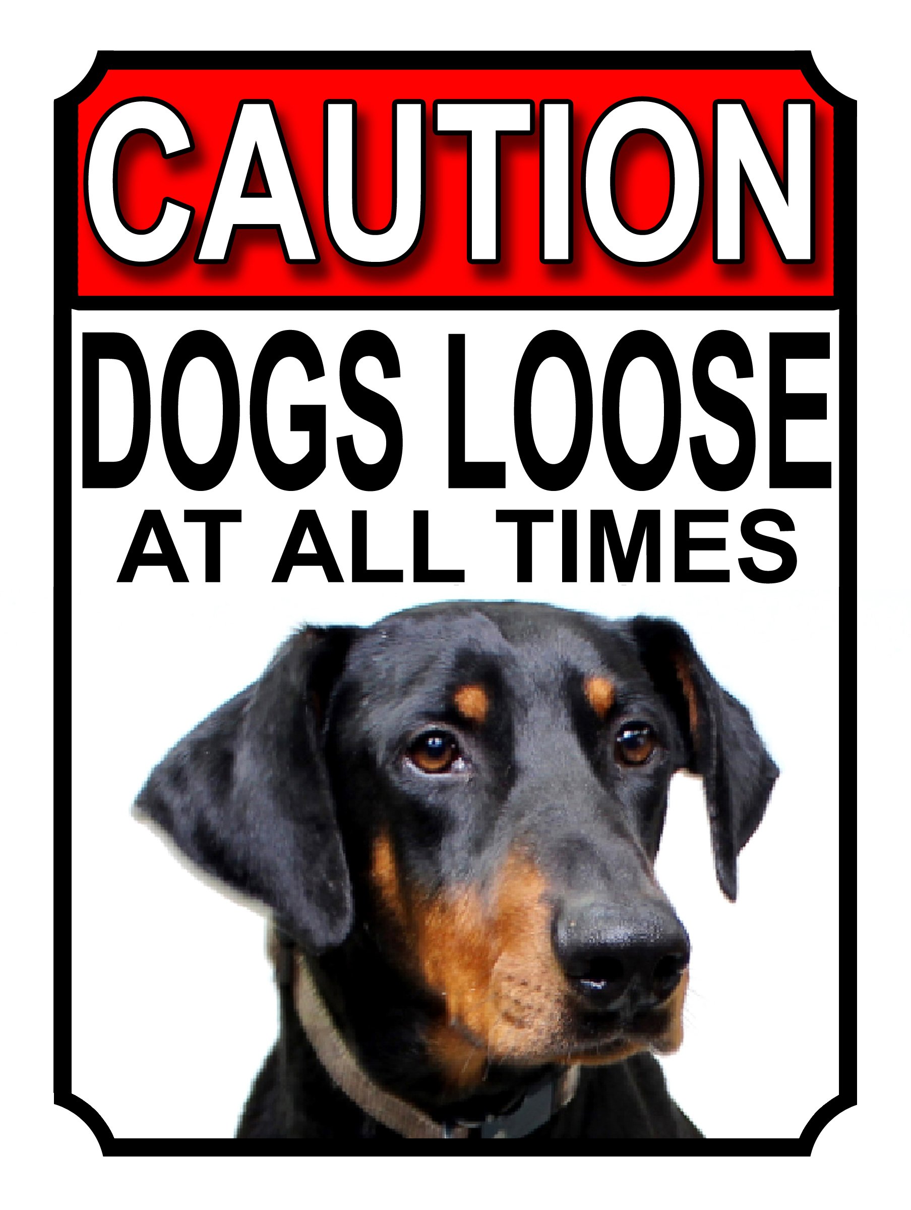 SHAWPRINT CAUTION DOGS LOOSE AT ALL TIMES METAL GATE SIGN DOBERMAN PINSCHER 200MM X 150MM (1193H1) — image 1