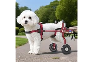 LetPetRun Dog Wheelchair for Back Legs,Adjustable Dog Carts with Wheels for Disabled Hind Legs, Bike Trailer Type Mobility Aid for Disabled Dogs to Regain Independence (XS Red)