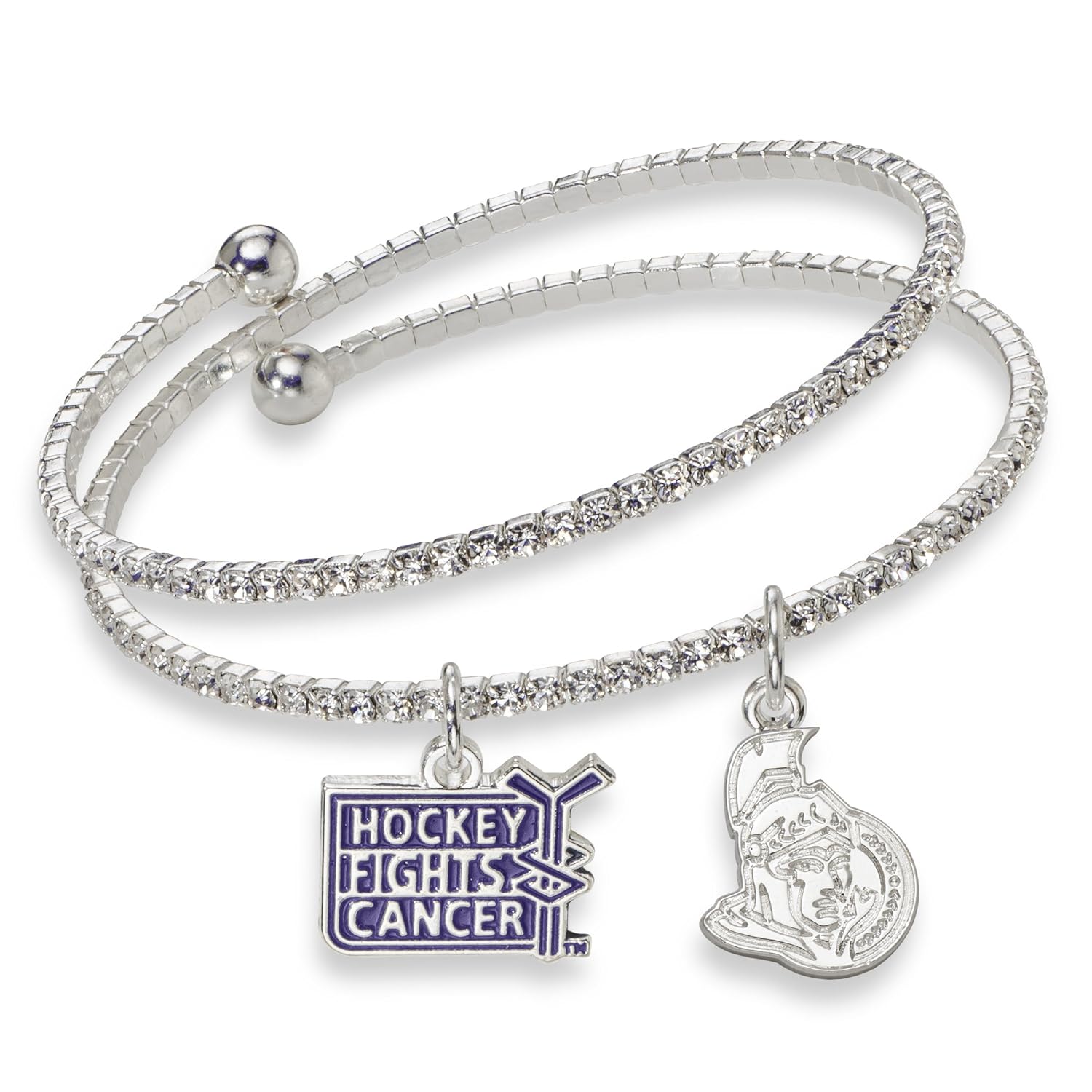 ottawa senators hockey fights cancer