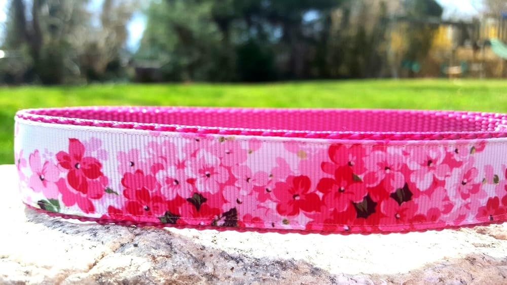 blossom co dog collar