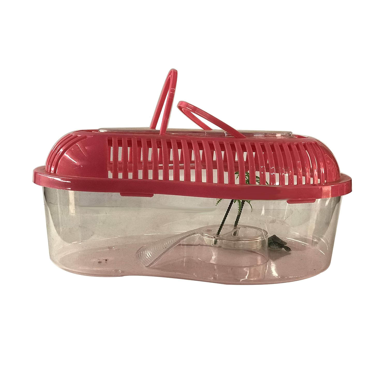 large reptile carrier