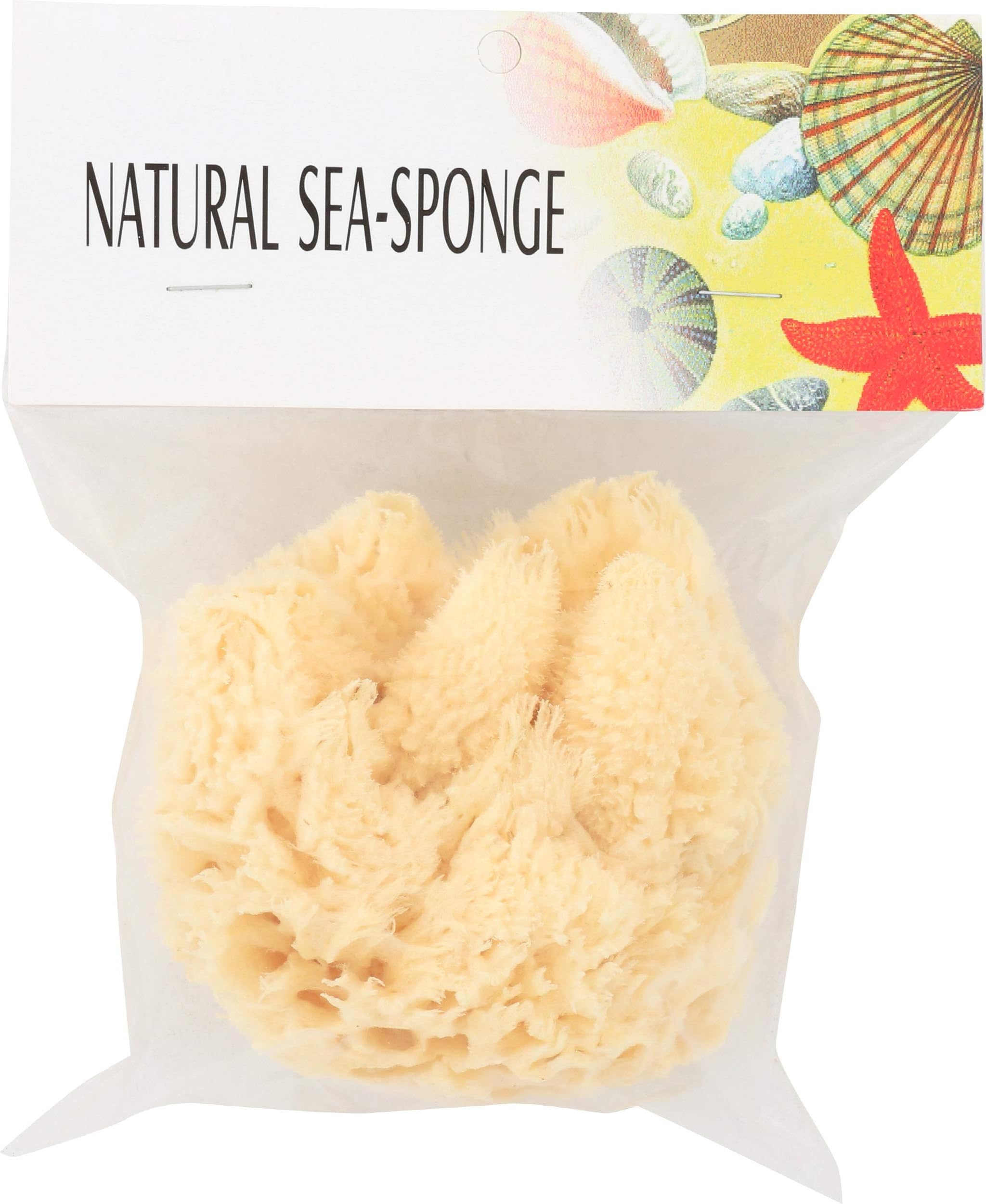 The Sponge Company, Sponge Bathing Sea No1, 1 Count
