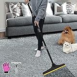 B-Land Carpet Rake for Pet Hair Removal, Reusable