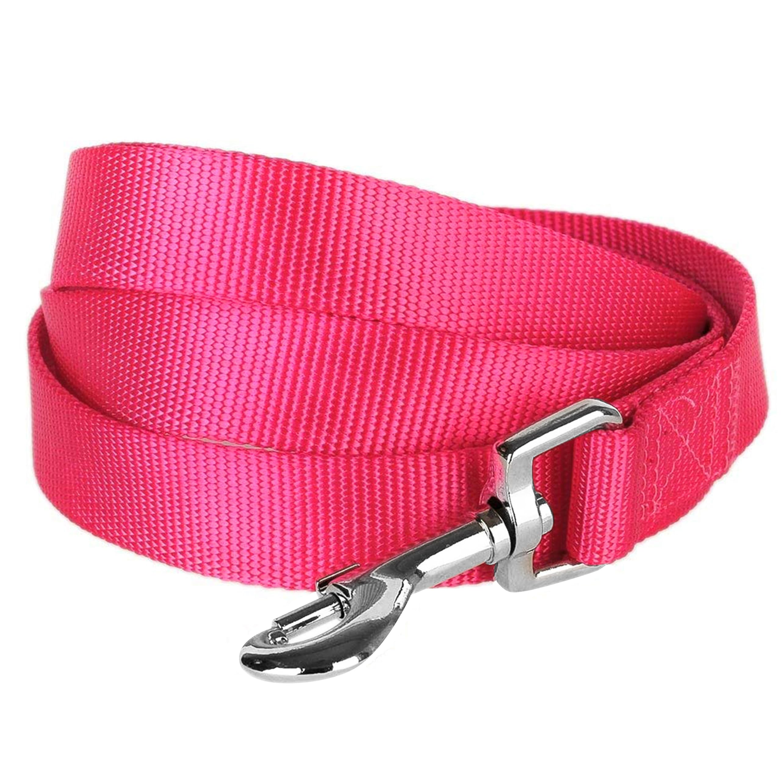 Blueberry Pet Essentials 19 Colors Durable Classic Dog Leash 5 ft x 3/4", French Pink, Medium, Basic Nylon Leashes for Dogs