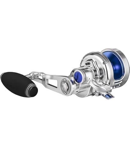 ロッド OCEAJIGGER LD 2500MG GM Type SlowJ B66 5 ロッド OCEAJIGGER LD 2500MG GM Type SlowJ B66 5 Amazon.com