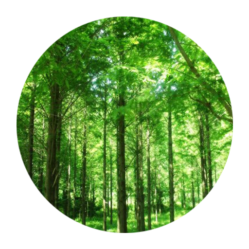 Amazon Com Sandalwood Trees Apps Games