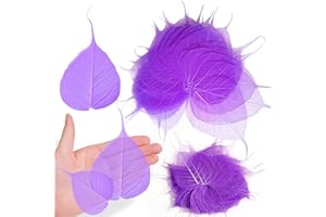 GSZN Purple Skeleton Leaves for Resin, 42PCS Natural Real Dried Pressed BodhiSkeleton Leaf for Resin Mold Art DIY Craft Candle Making Phone Case Wedding Home Decor