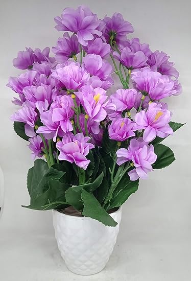 Buy Ethnic Karigari Decorative Beautiful Indoor Natural Looking