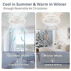 LEDIARY 20" Modern Ceiling Fans with Lights and