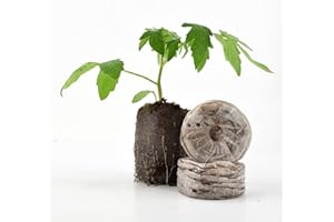 GARDEN TRENDS Jiffy Super Pellets - Expands to 2" Diameter (50 mm) x 3-1/4" Tall - 50ct