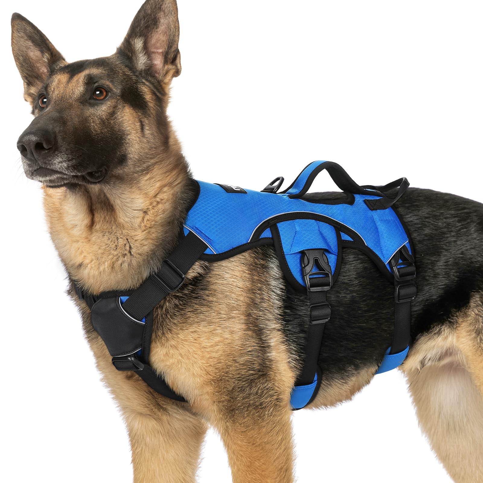 Photo 1 of ****DOG HAIR****rabbitgoo Escape Proof Dog Harness, Soft Padded Full Body Pet Harness, Reflective Adjustable No Pull Vest with Lift Handle and Leash Clip for Large Dogs Walking Hiking Training, XL, Blue