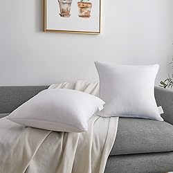Oubonun 16 x 16 Pillow Inserts (Set of 2) - Throw