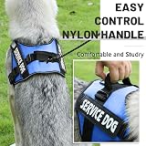 Belababy Soft No Pull Dog Harness Small Adjustable Reflective Blue view 5