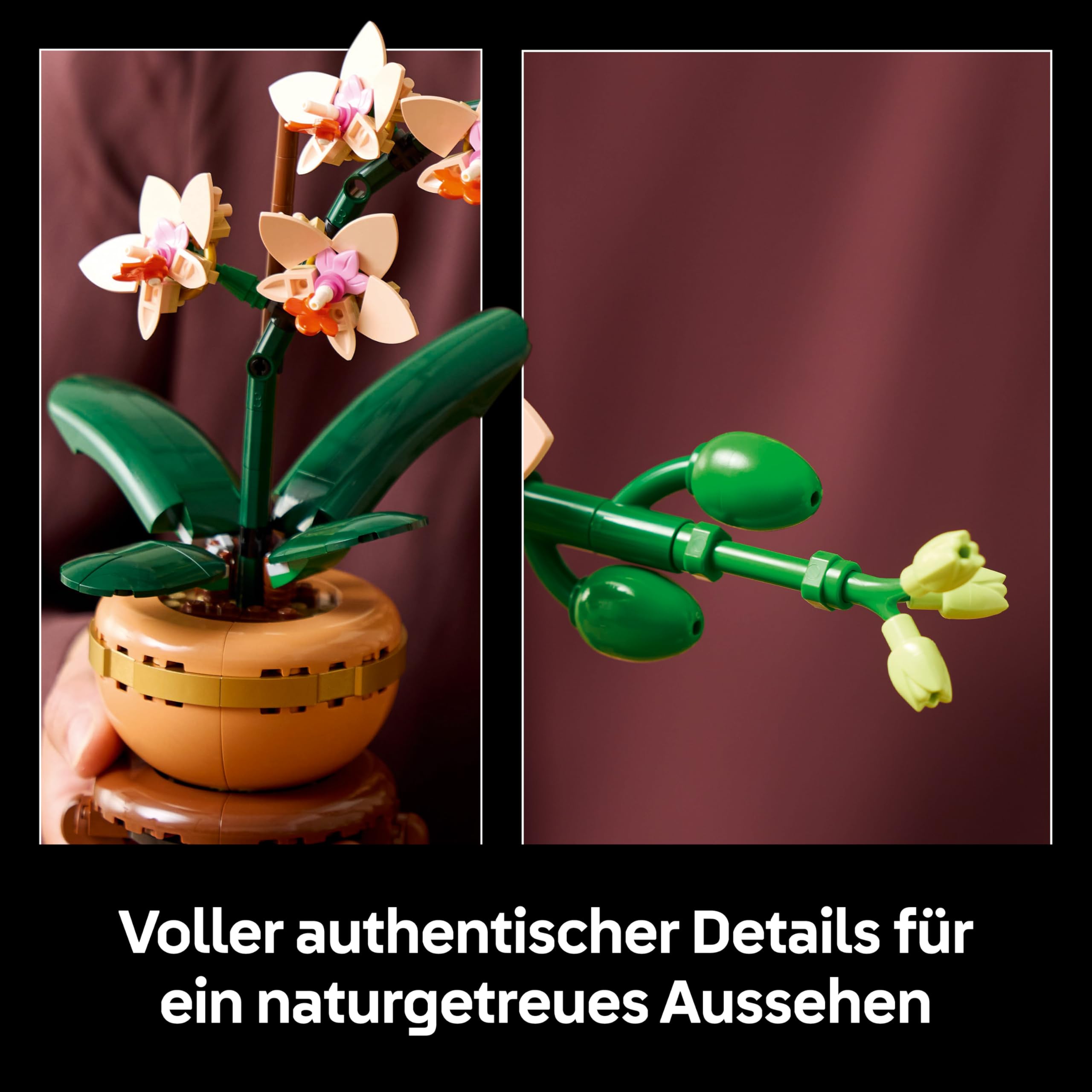 LEGO Botanicals Mini-Orchidee - Set mit Kunstblumen für Erwachsene - Zimmerpflanze mit Blumentopf im Terrakotta-Stil - DIY Geschenkidee zum Geburtstag - 10343 4