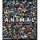 Animal: Exploring the Zoological World
