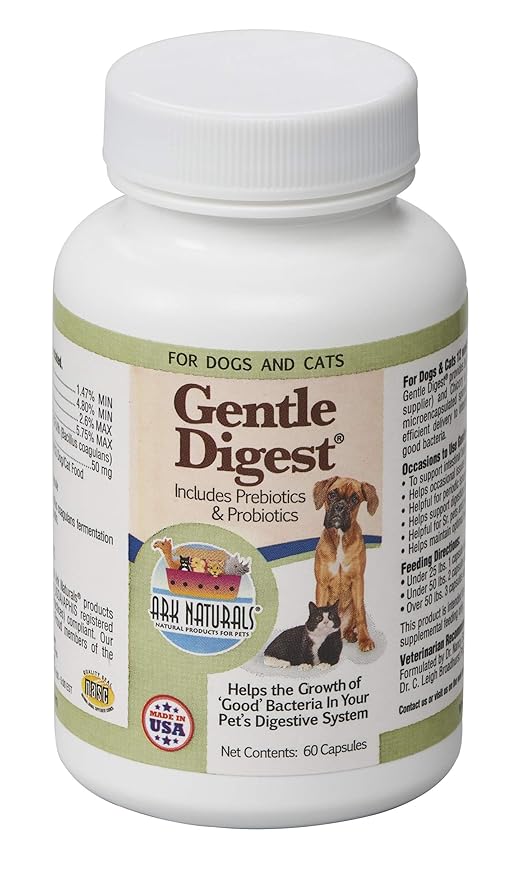 Probiotico para gatos Todo gatos