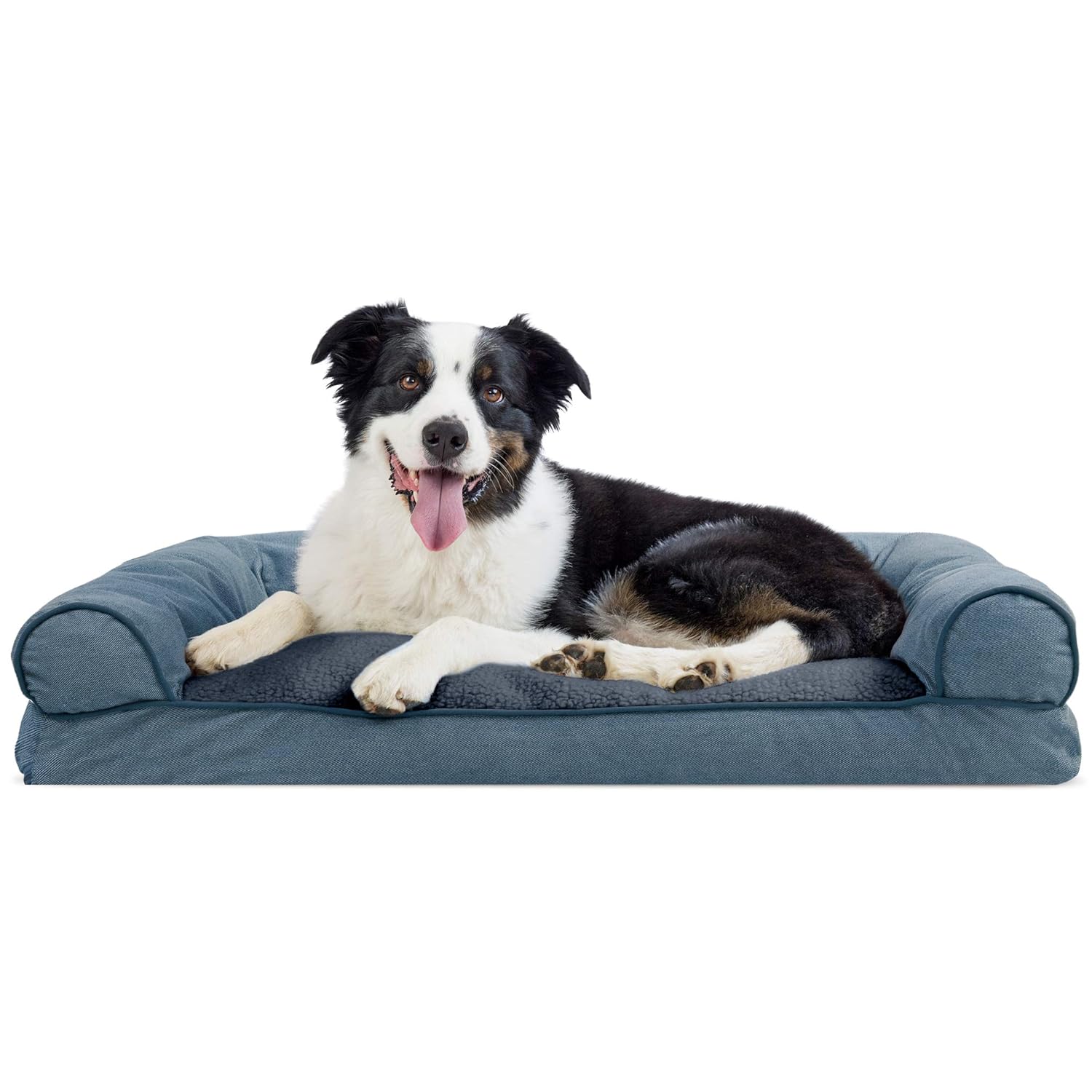 comfy couch pet bed