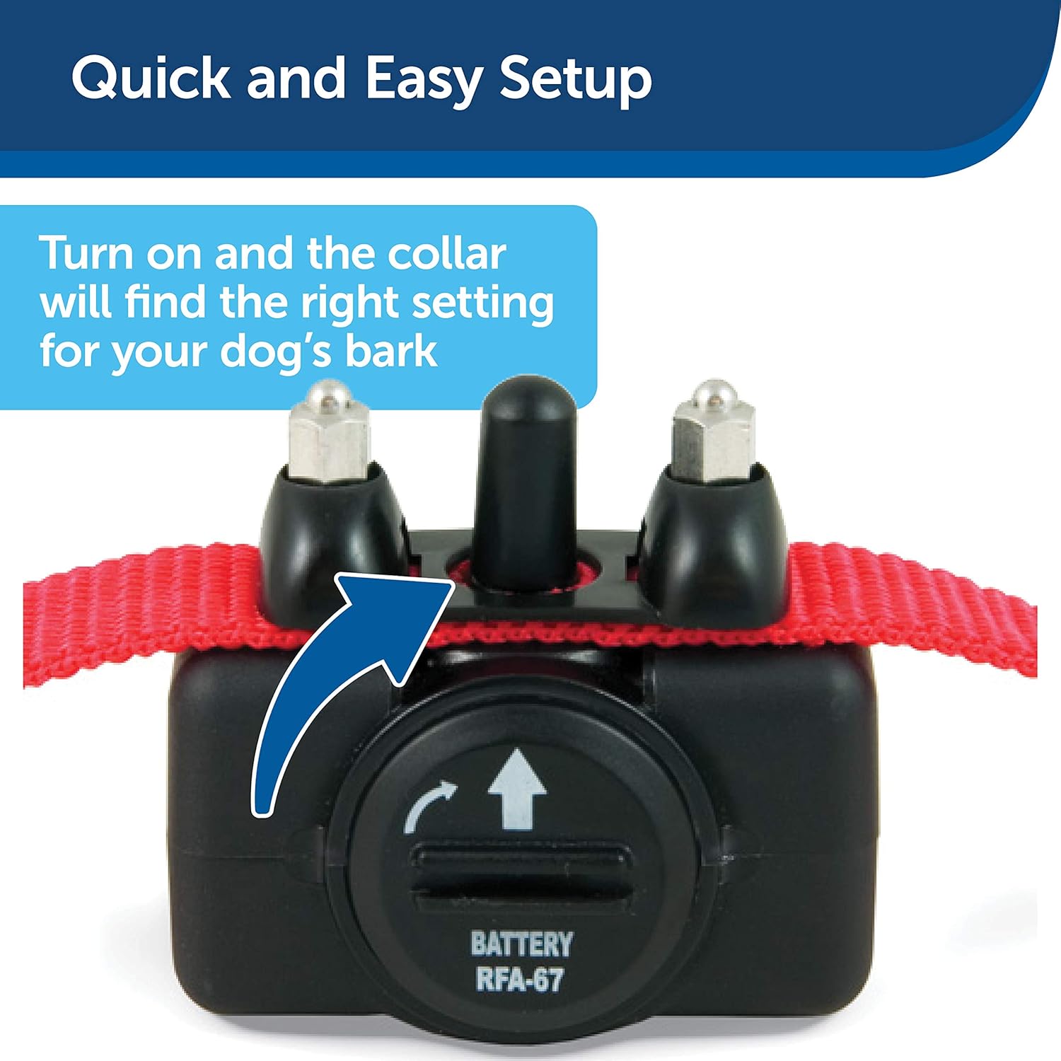 PetSafe Basic Bark Control Collar for Dogs 8 lb. and Up, Anti-Bark Training Device, Waterproof, Static Correction, Canine : Barking Deterrent Collars : Pet Supplies