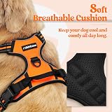 rabbitgoo Dog Harness Medium No Pull with 2 Leash Clips Reflective Orange M view 3