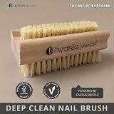 Hydrea London Nail Brush Double-Sided Natural Cactus Bristles Vegan view 3