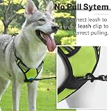 Belababy Dog Harness Small Medium Large No Pull Adjustable Reflective Front view 4
