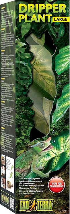 reptile dripper plant