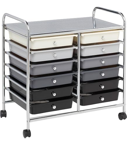 Amazon.com: GOFLAME 12-Drawer Rolling Storage Cart