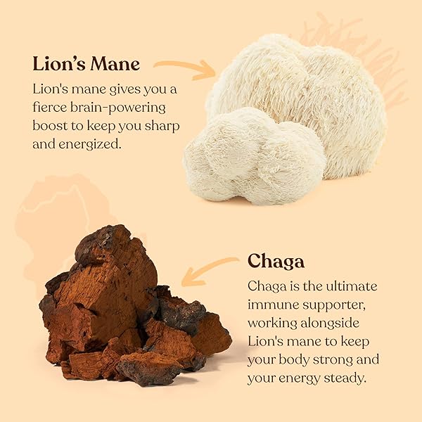 FOUR SIGMATIC FOCUS MUSHROOM COFFEE | ORGANIC GROUND COFFEE WITH LION’S MANE MUSHROOM AND CHAGA FOR BETTER FOCUS AND IMMUNE SUPPORT | 12OZ BAG