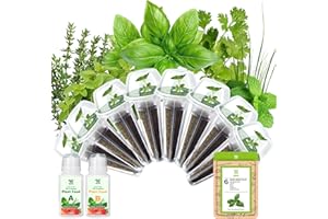HIHOYA Herb Seed Pod Kit With Basil Mint Thyme Mixed, Grow Anything Seed Starter Pod Kit for Hydroponics Growing System with Plant Food, Seeds Included Genovese Basil, Italian Parsley, Oregano, Chive (8-Pod)