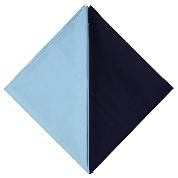 Uniform Sarees Corp Mens Cotton Shirt & Poly-Viscose Pant Unstitched Executive Fabric Combo Set (Blue,Shirt 2.5 m Pant 1.3 m)