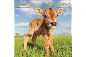 2026 Animal Babies (Bilingual French) Mini Wall Calendar (English and French Edition)